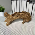Tree Stump Planter with Open Planting Trough