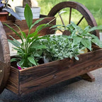 Wheelbarrow Planter with Two-Tier Planting Boxes